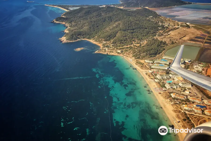 Platja Des Cavallet