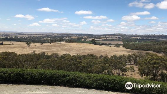 Paulett Wines