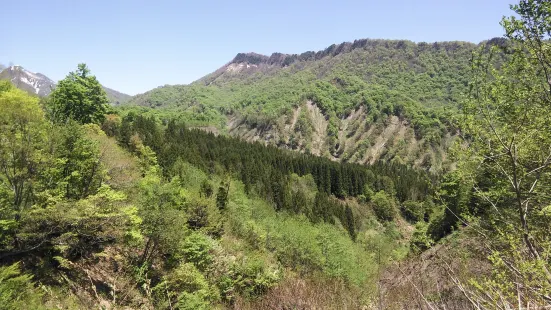 Okususobana Natural Garden