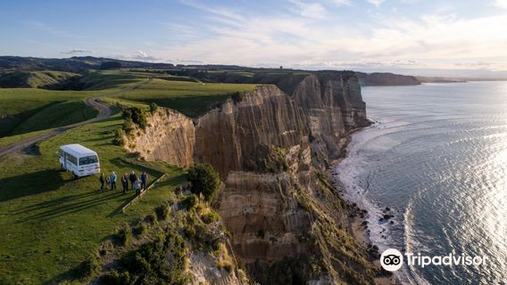 Gannet Safaris Overland Ltd