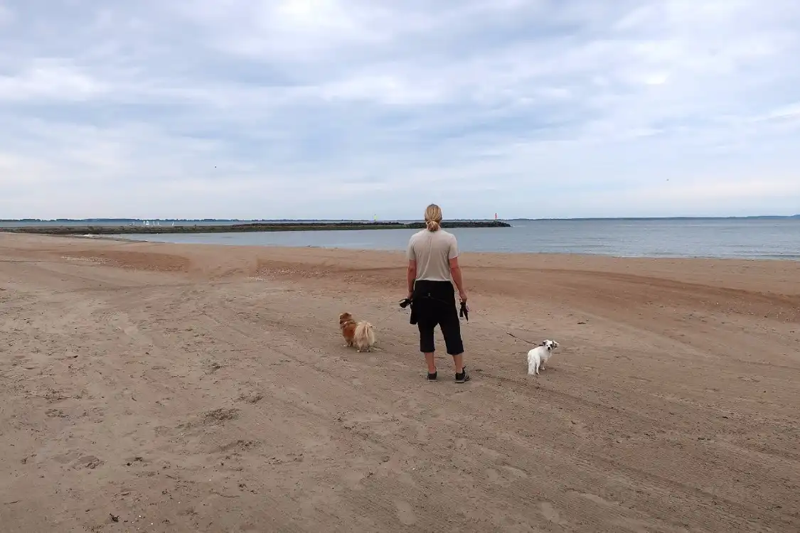 Hotels near Dog Beach