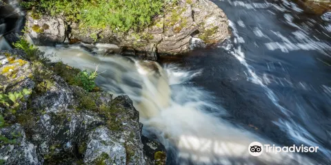 Caledonian Forest Reserve