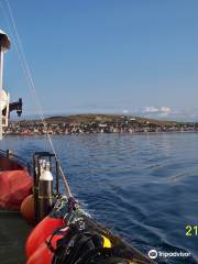 M.V. Invincible Scapa Flow Scuba Diving Holidays