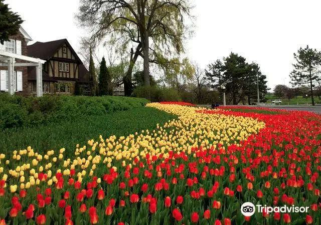 Arboretum (Experimental Farm)