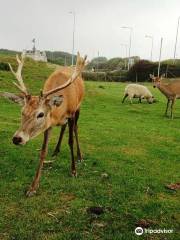 Farmer Parrs Animal World