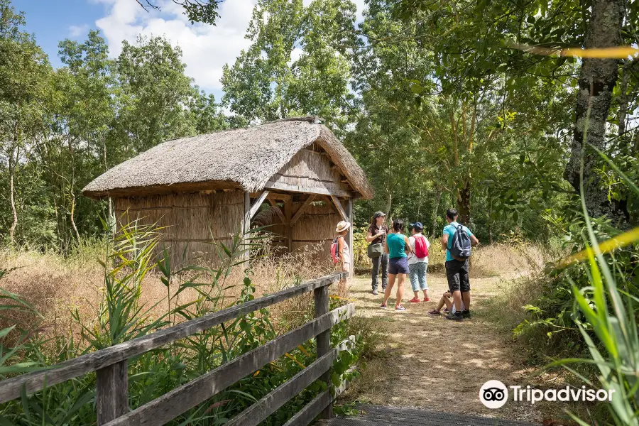 Reserve Biologique Departementale de Nalliers