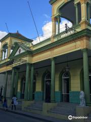 Natural History Museum (Museo de Historia Natural)