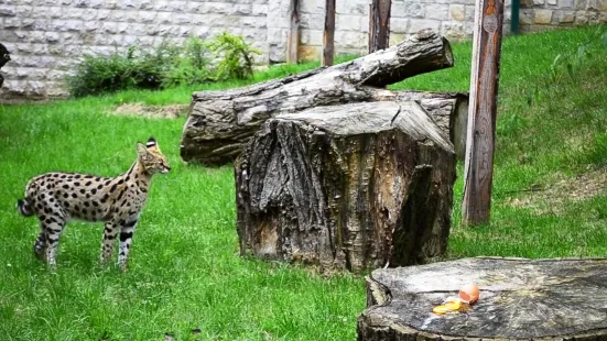 Sarajevo Zoo