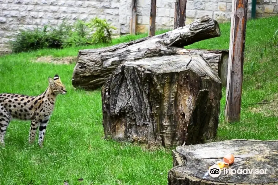 Sarajevo Zoo