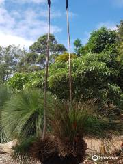 Shoalhaven Heads Native Botanic Garden