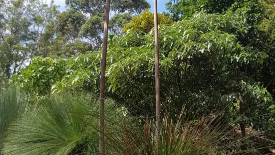 Shoalhaven Heads Native Botanic Garden