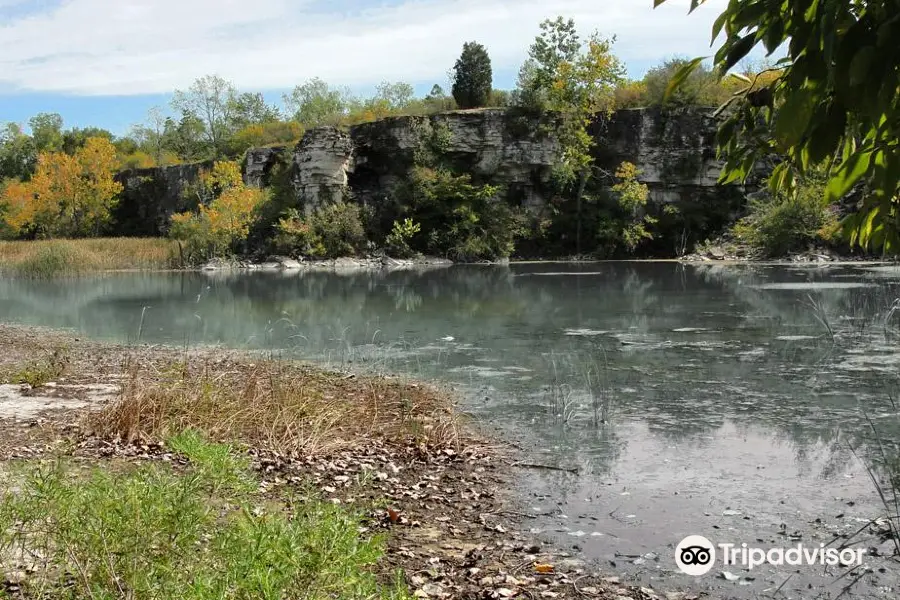 Castalia Quarry Reserve