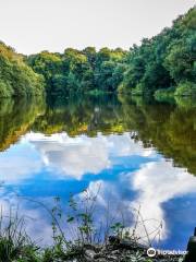 Knypersley Reservoir