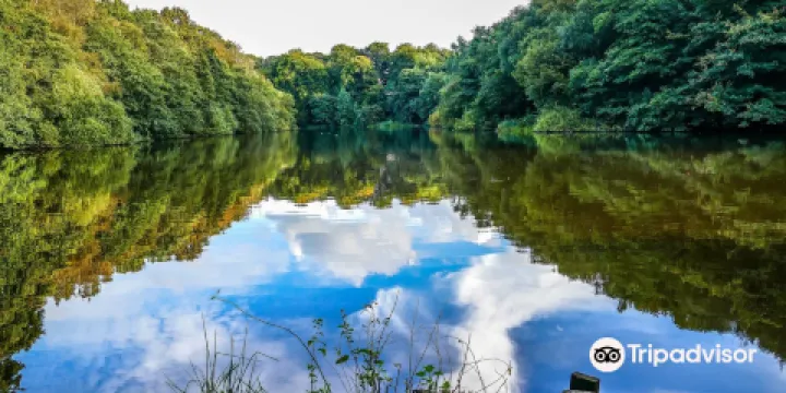 Knypersley Reservoir