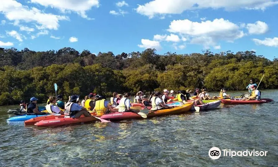 Straddie Adventures