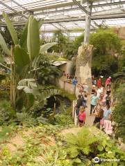 Les Jardins Animaliers Biotropica