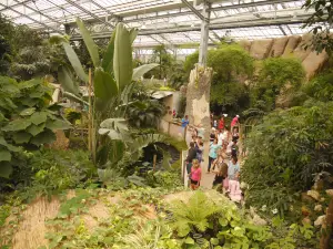 Biotropica, animal gardens