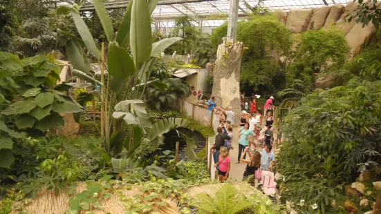 Biotropica, animal gardens