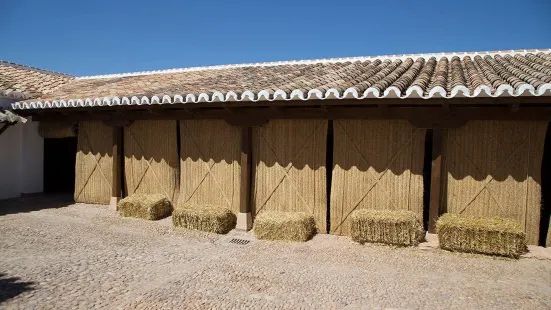 Molino Grande de Manzanares