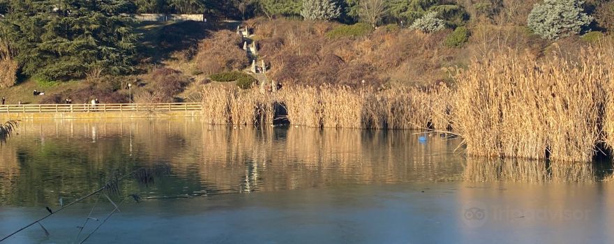 Parco del Lago Nord