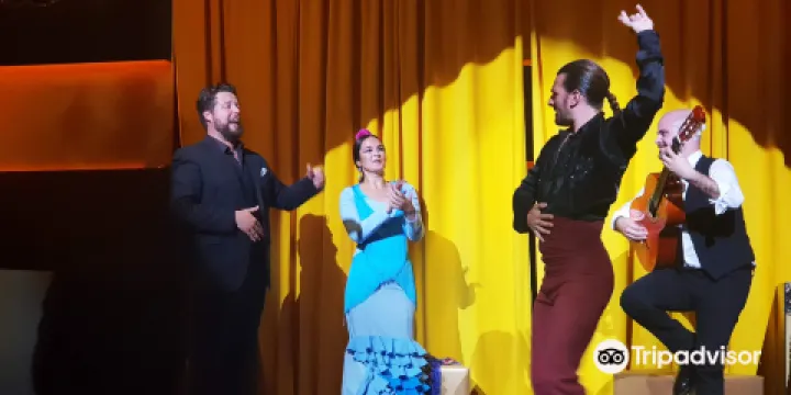 西班牙塞維利亞 · Monasterio 弗拉門戈舞蹈演出