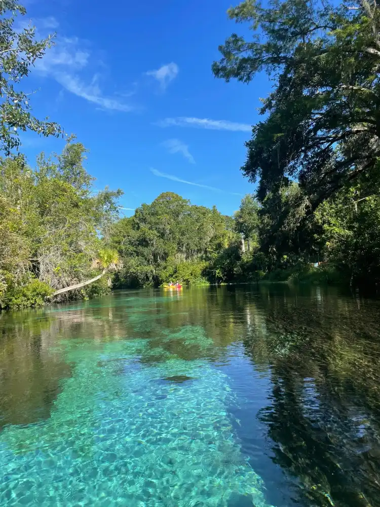 Hotels in Weeki Wachee Gardens