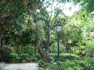 Huerto de Las Flores - Jardín Botánico de Agaete