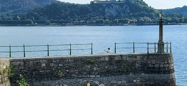 Arona