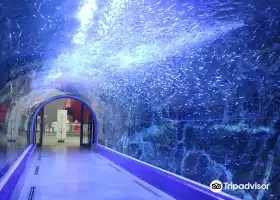 麗水水族館（海洋星城）