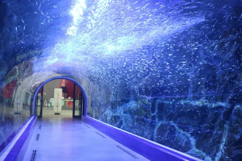 Aqua Planet Yeosu