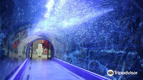 麗水水族館（海洋星城）