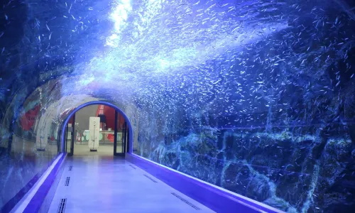 Aqua Planet Yeosu