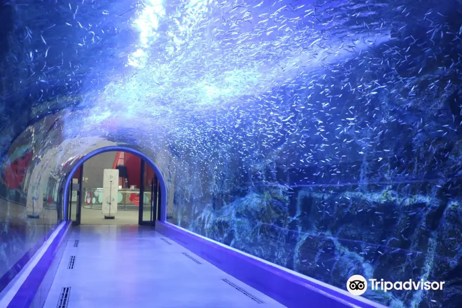 麗水水族館（海洋星城）