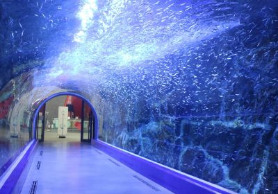 Aqua Planet Yeosu