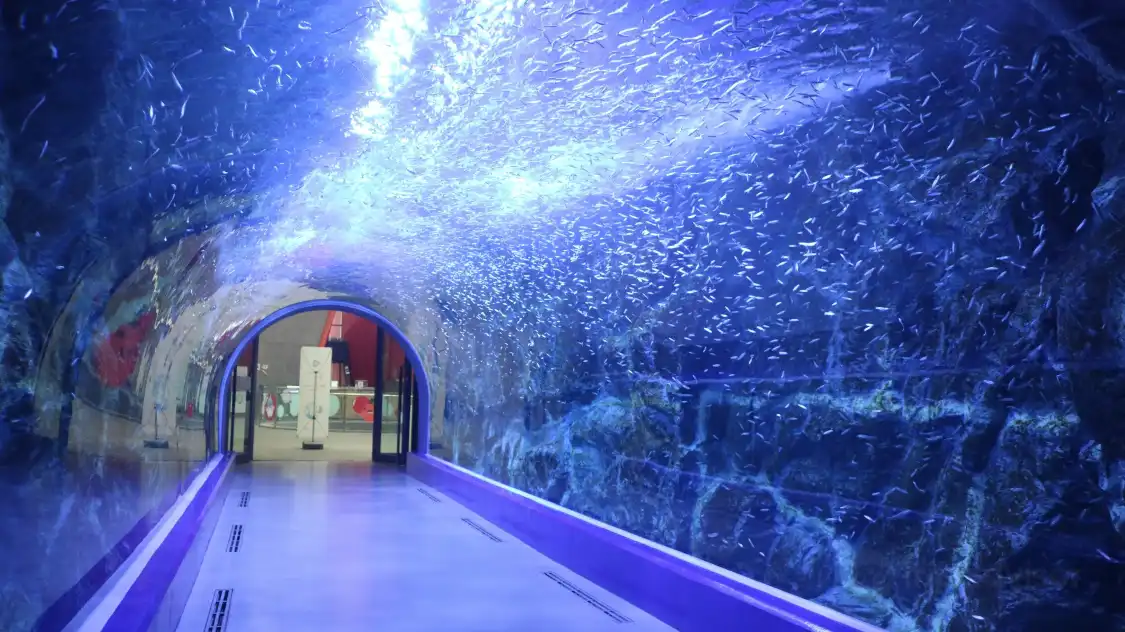 Hotels near Aqua Planet Yeosu