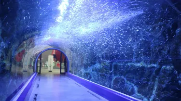 Aqua Planet Yeosu