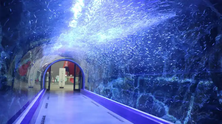 Hotels near Aqua Planet Yeosu