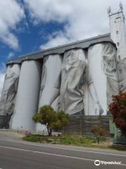 Coonalpyn Silo Mural