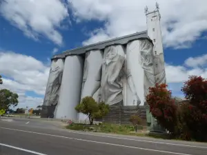 Coonalpyn Silos