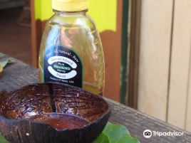 Purdy's Natural Macadamia Nut Farm