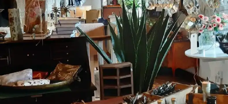 Hotels in Halmstad Municipality