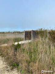 South Cape May Meadows