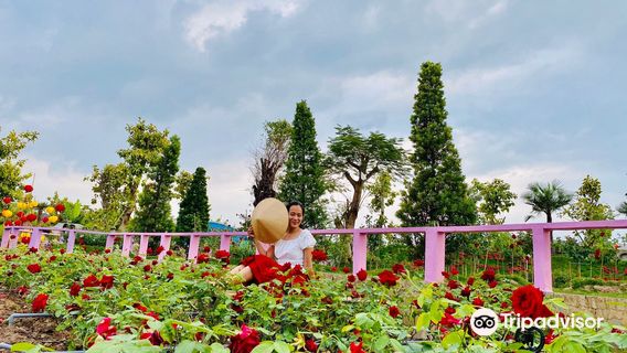 KDL Vườn Hồng Tư Tôn