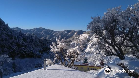 Naldehra Golf Course