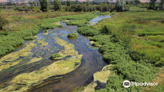 Heber Valley Railroad