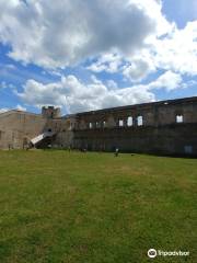 Château-Fort de Druyes