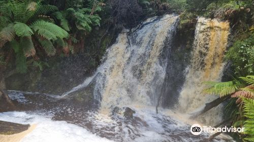 Hogarth Falls Track