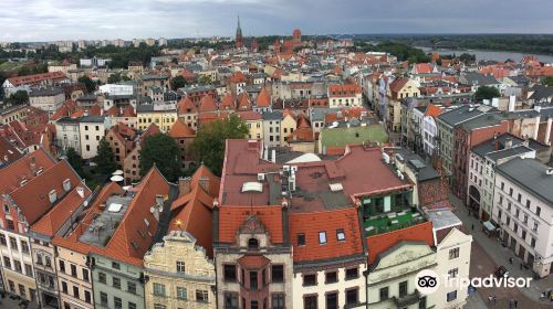 Regional Museum in Torun - Old Town Hall