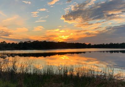 George LeStrange Preserve