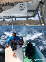 Scuba Diving Anfibios Huatulco